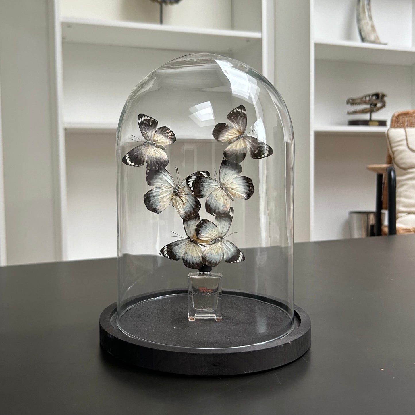 Cloche unique Hermes