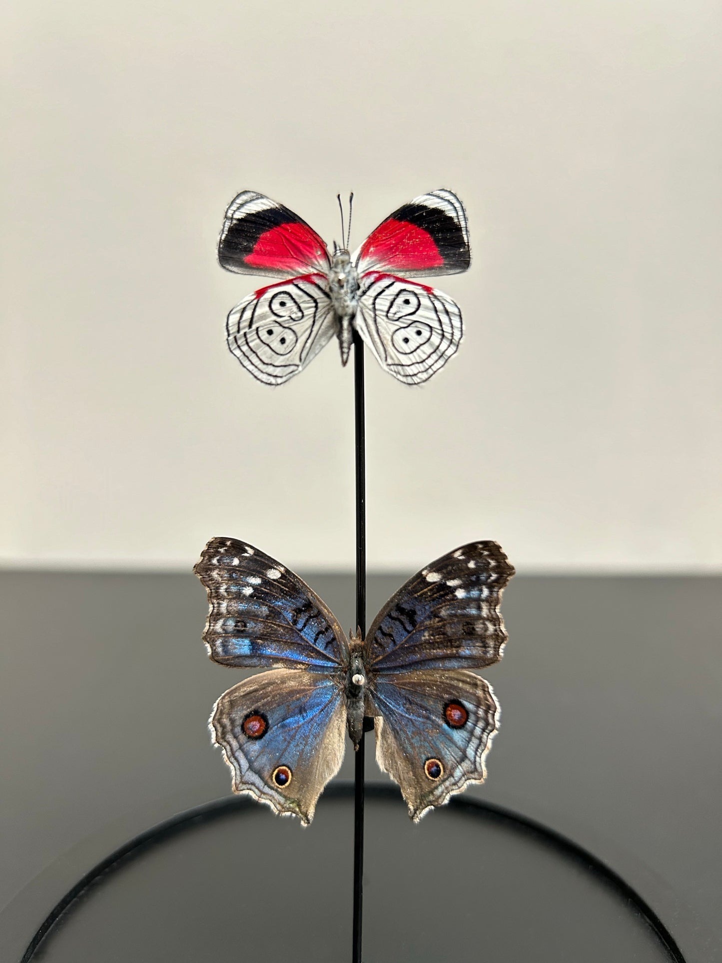 Petite cloche deux papillons