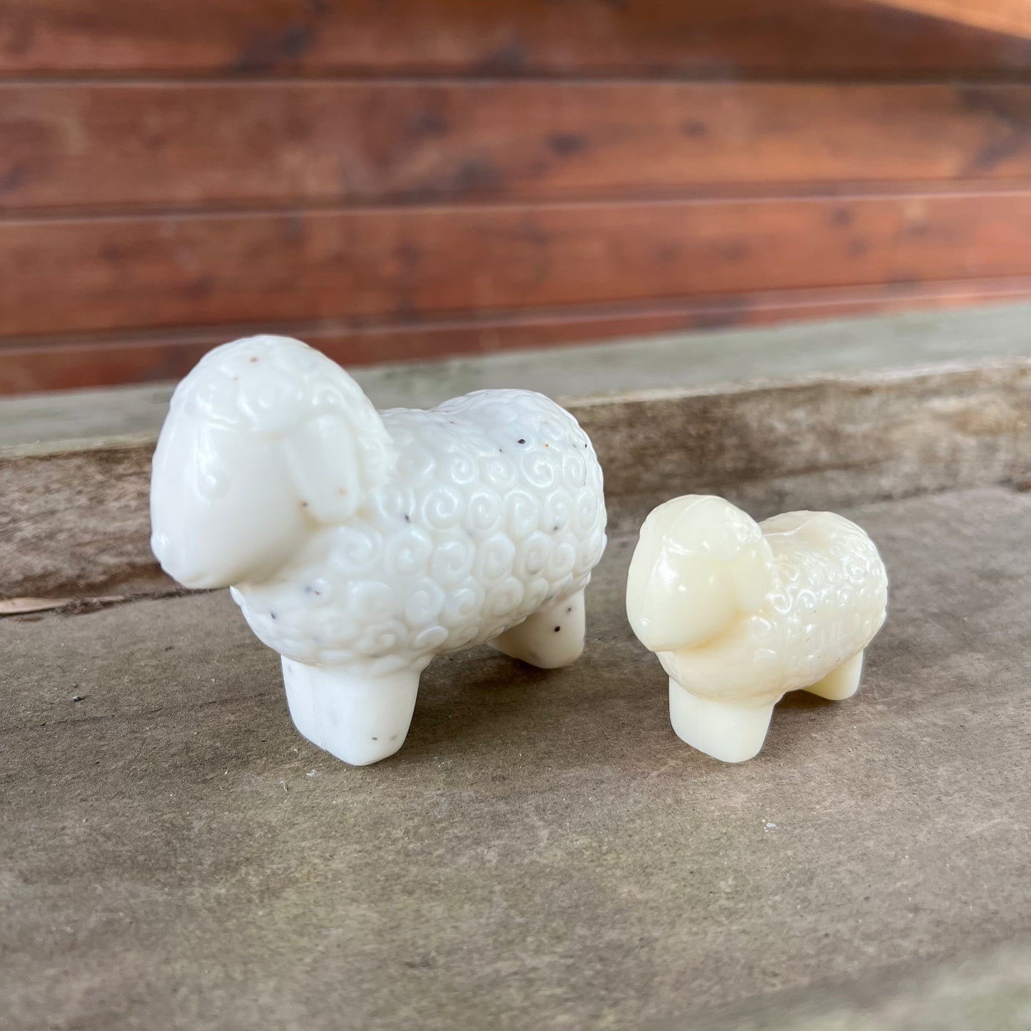 Savon mouton au lait de brebis - Moucheté parfum boisé - grand format