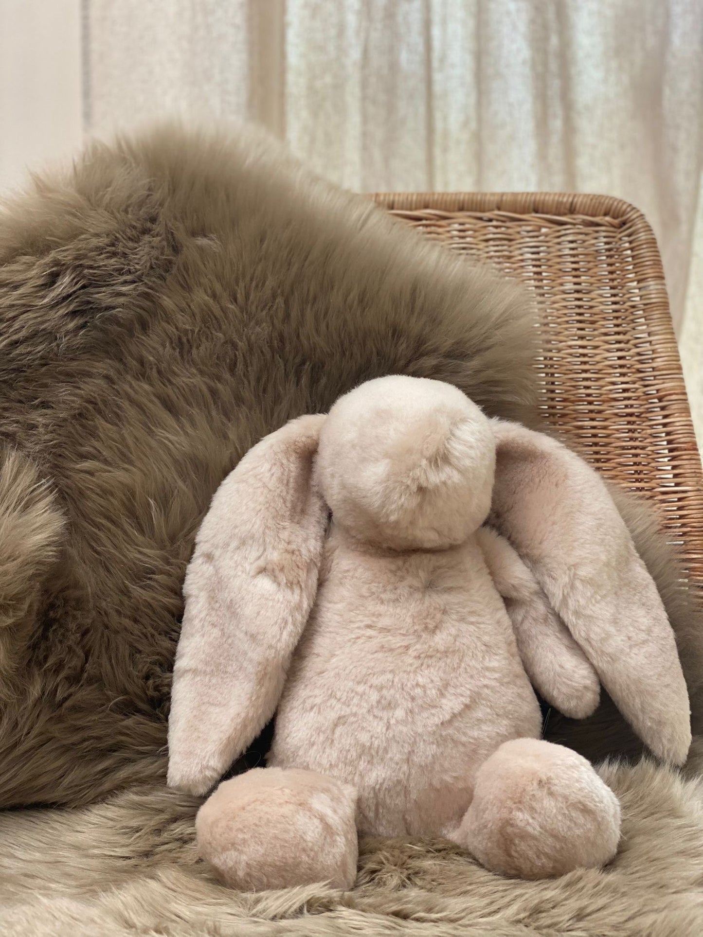 Lapin en peau de mouton de Nouvelle-Zélande