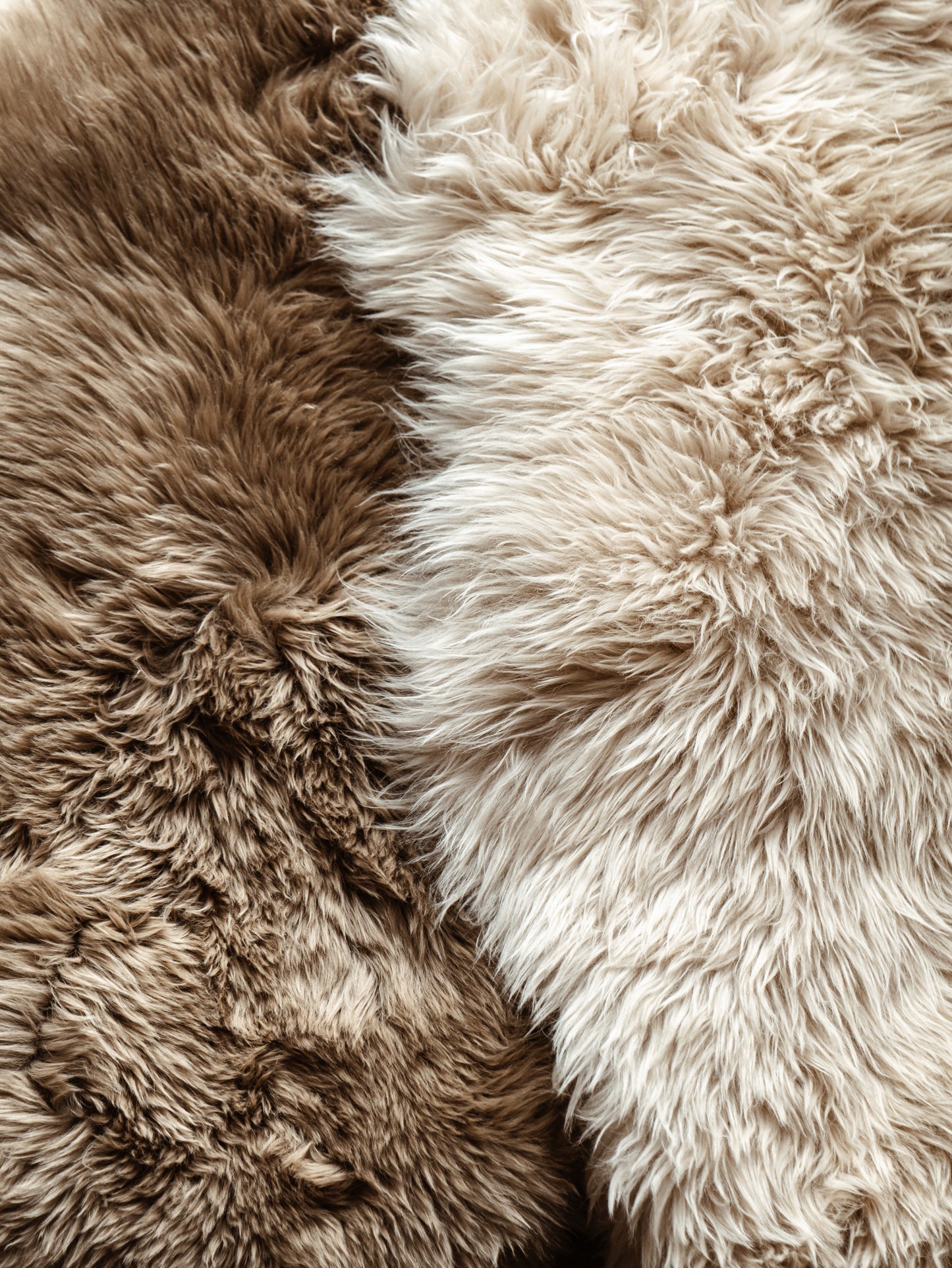 Peau de mouton de Nouvelle Zélande - 5 coloris