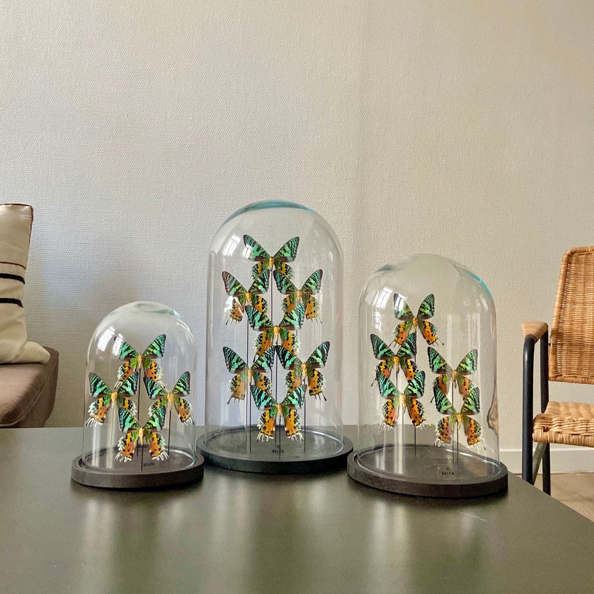 Collection Madagascar