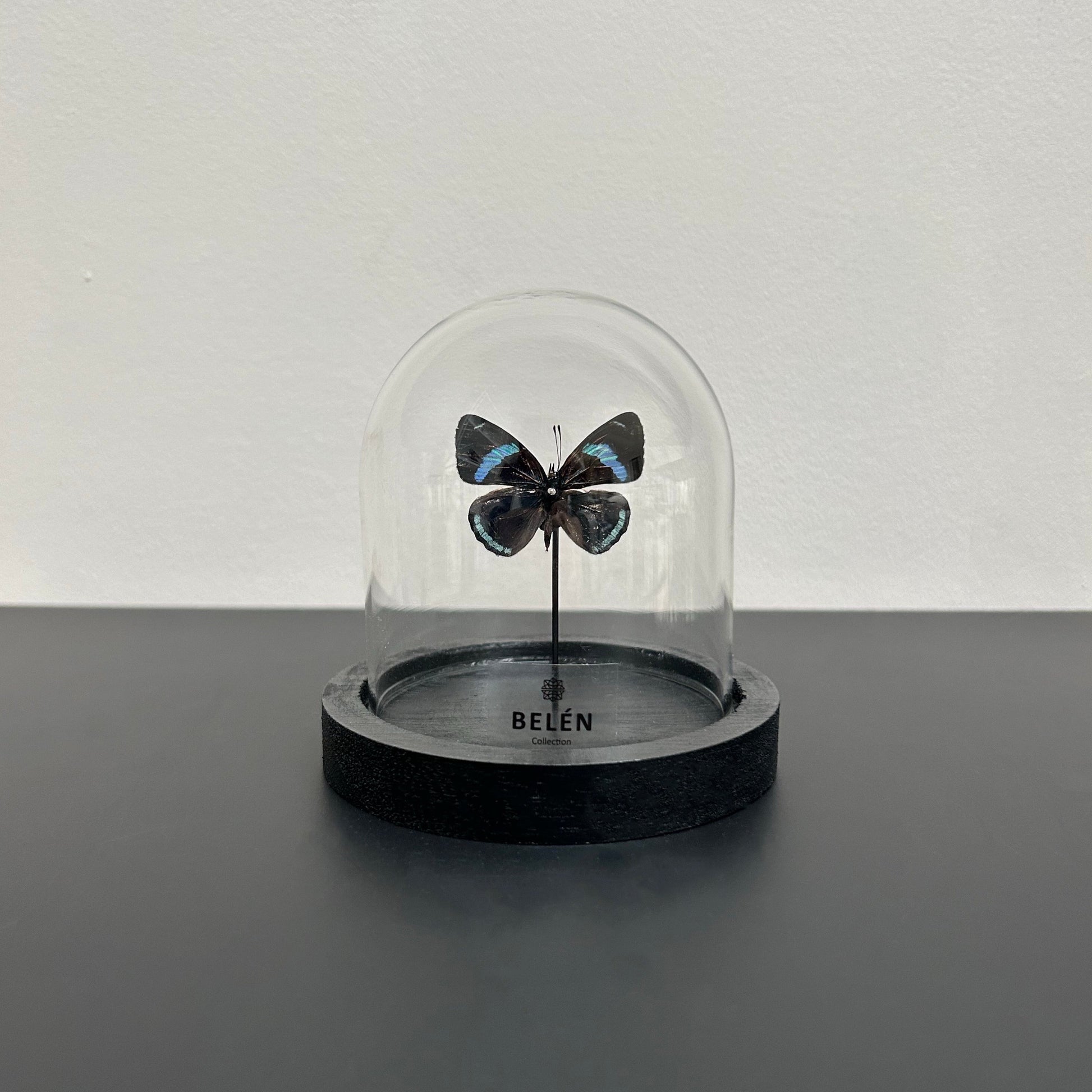 Mini cloche