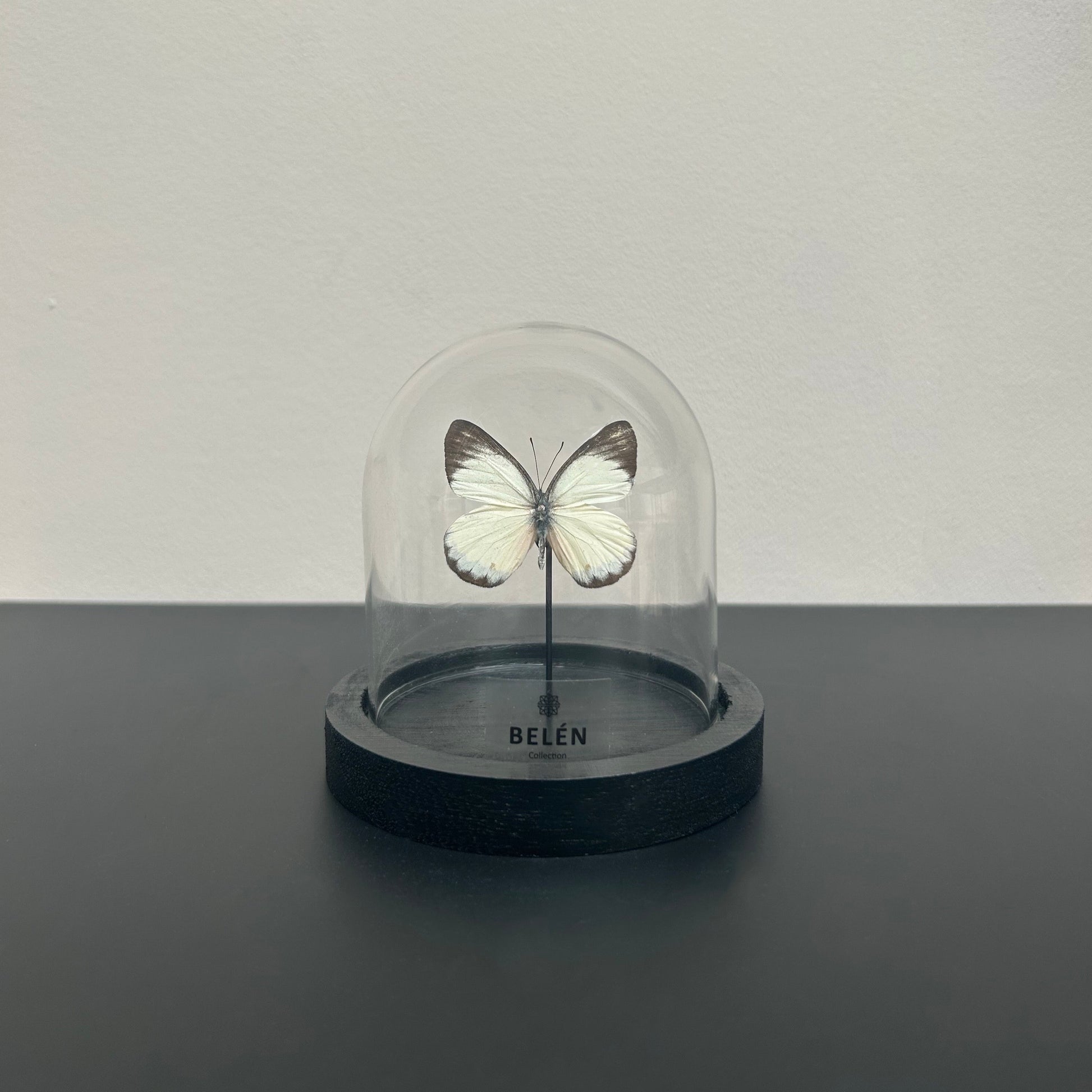 Mini cloche