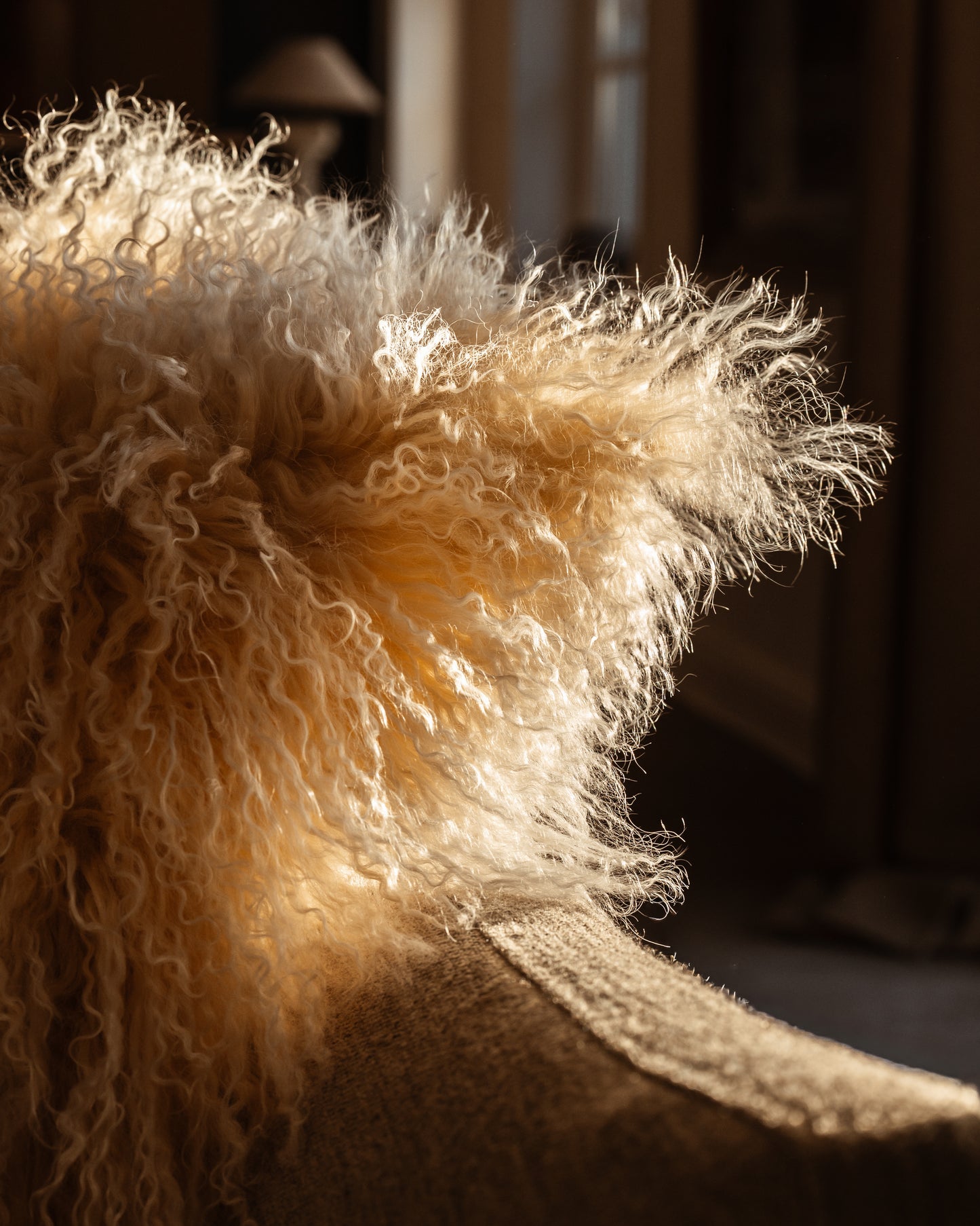 Coussin en peau de mouton Tibétain - Soleil arctique