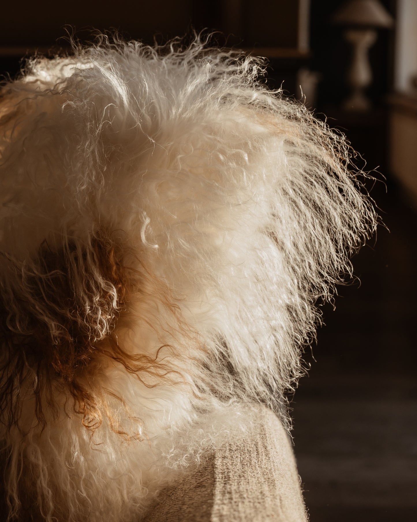 Coussin en peau de mouton Tibétain - Marron et beige